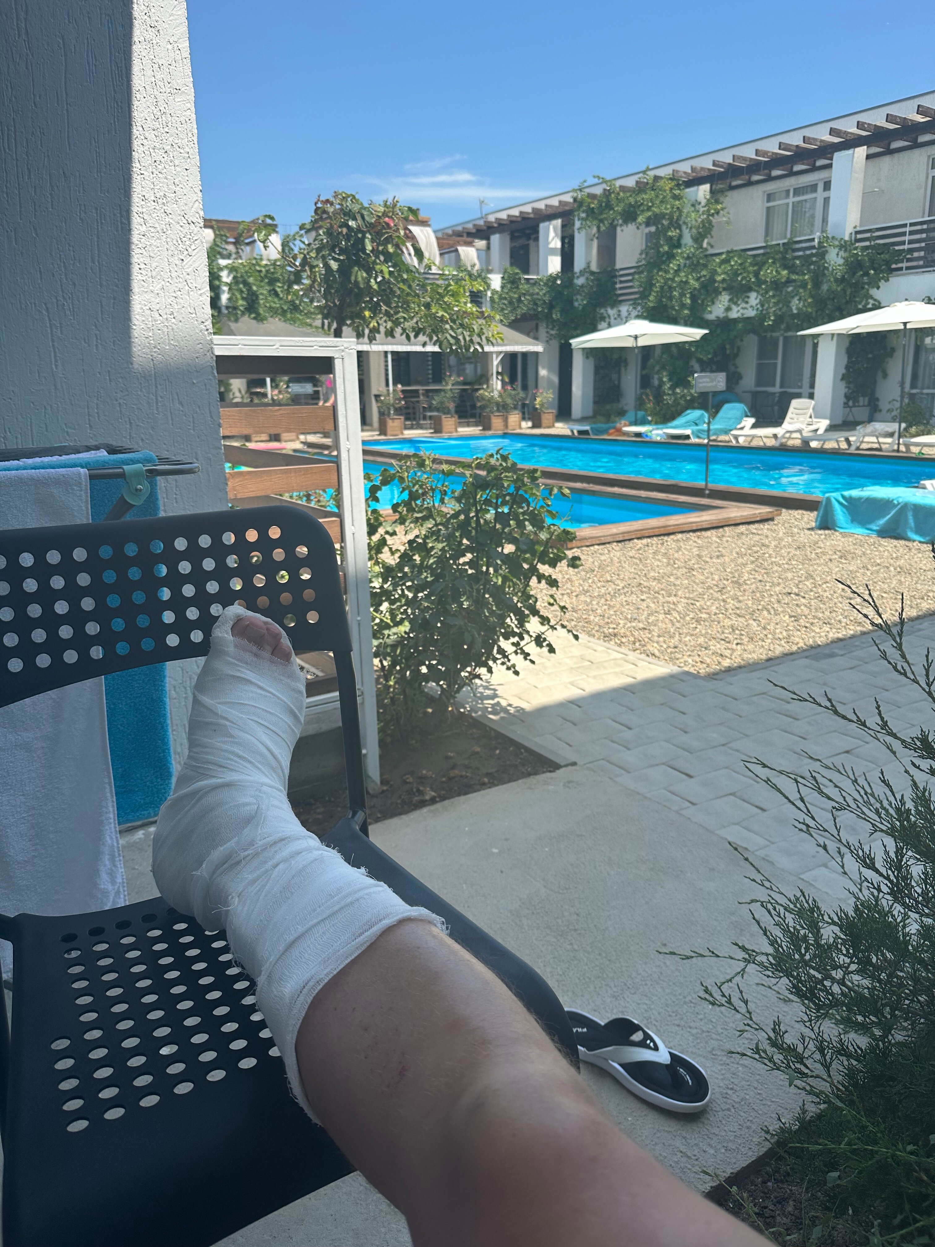 Фото Гранд Камелия