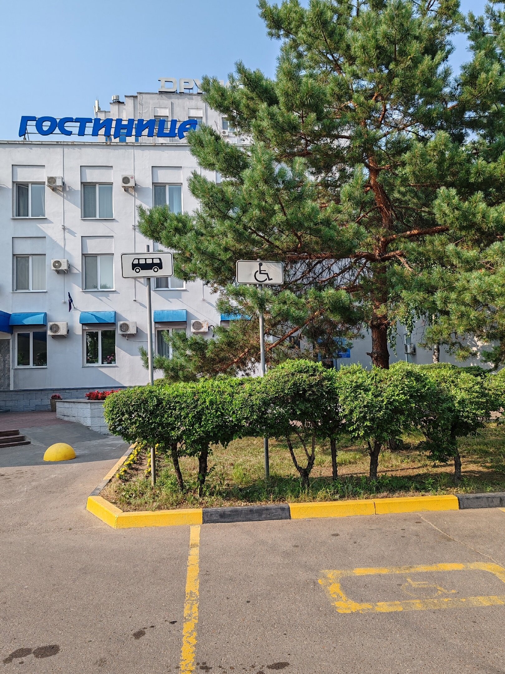 Фото Дружба