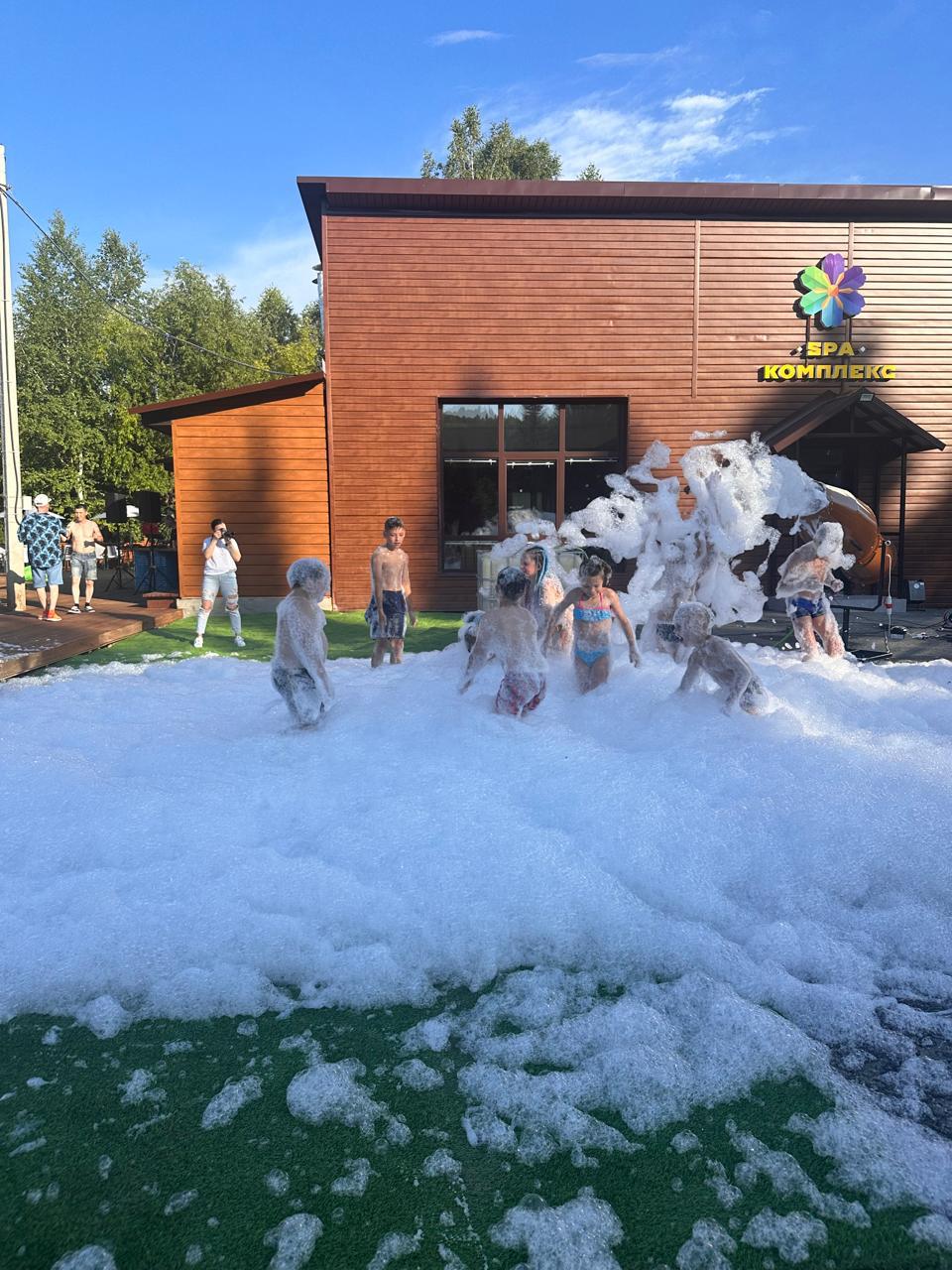 Фото Ромашка