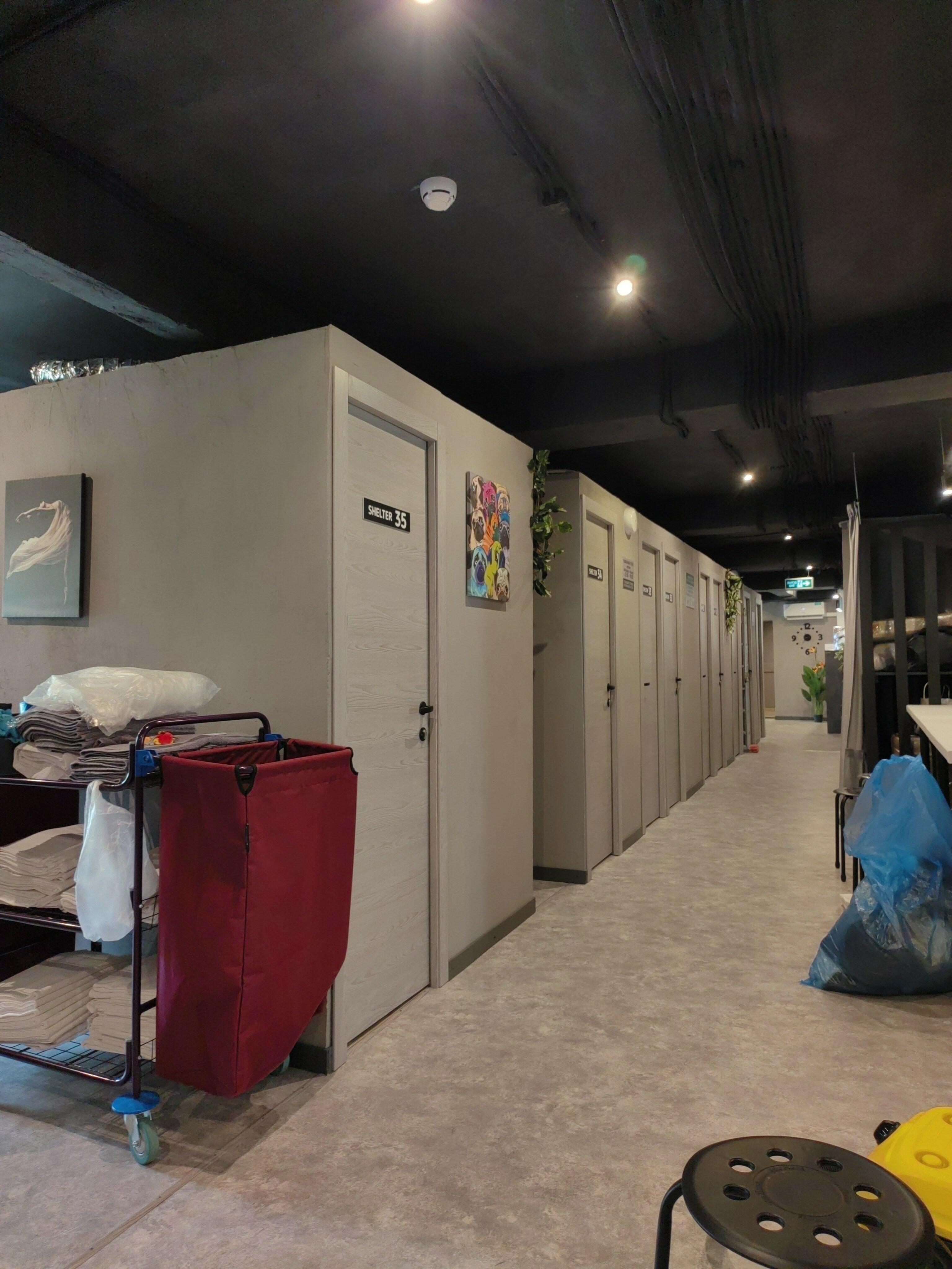 Фото Shelterz Три вокзала