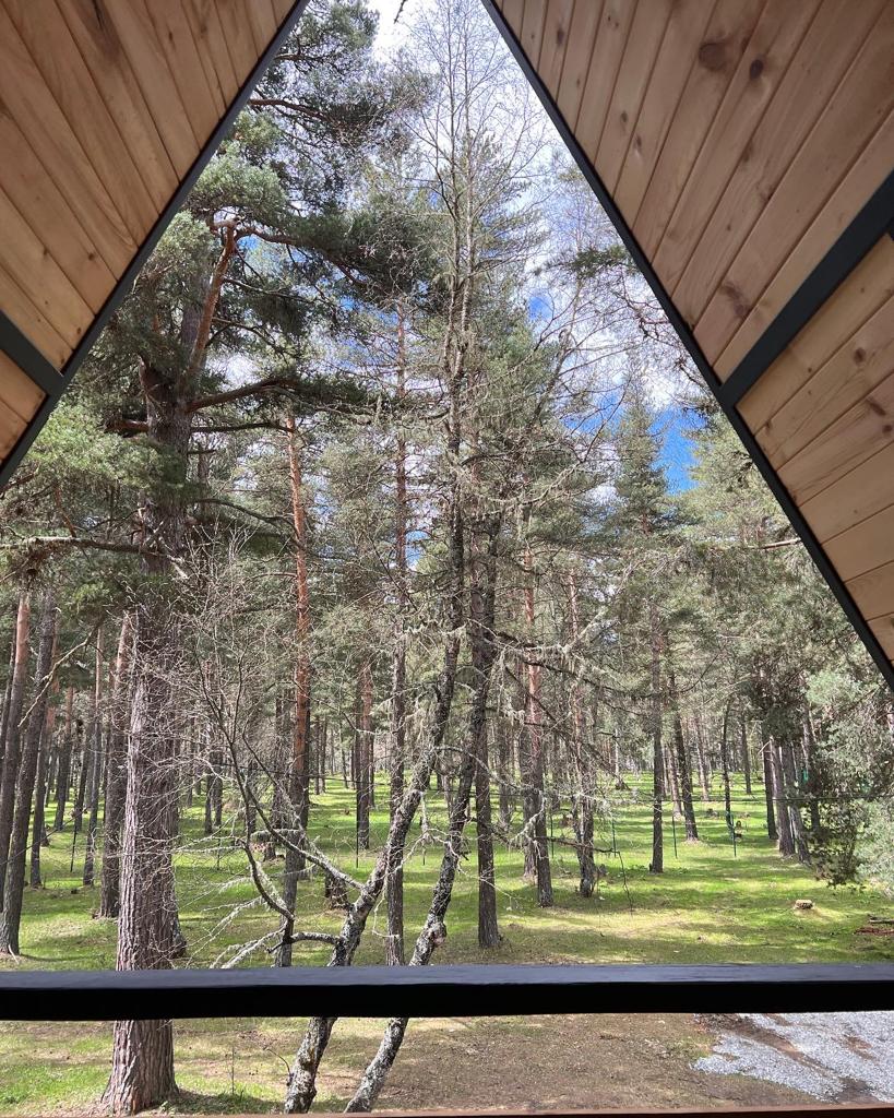 Фото Истера трэвл