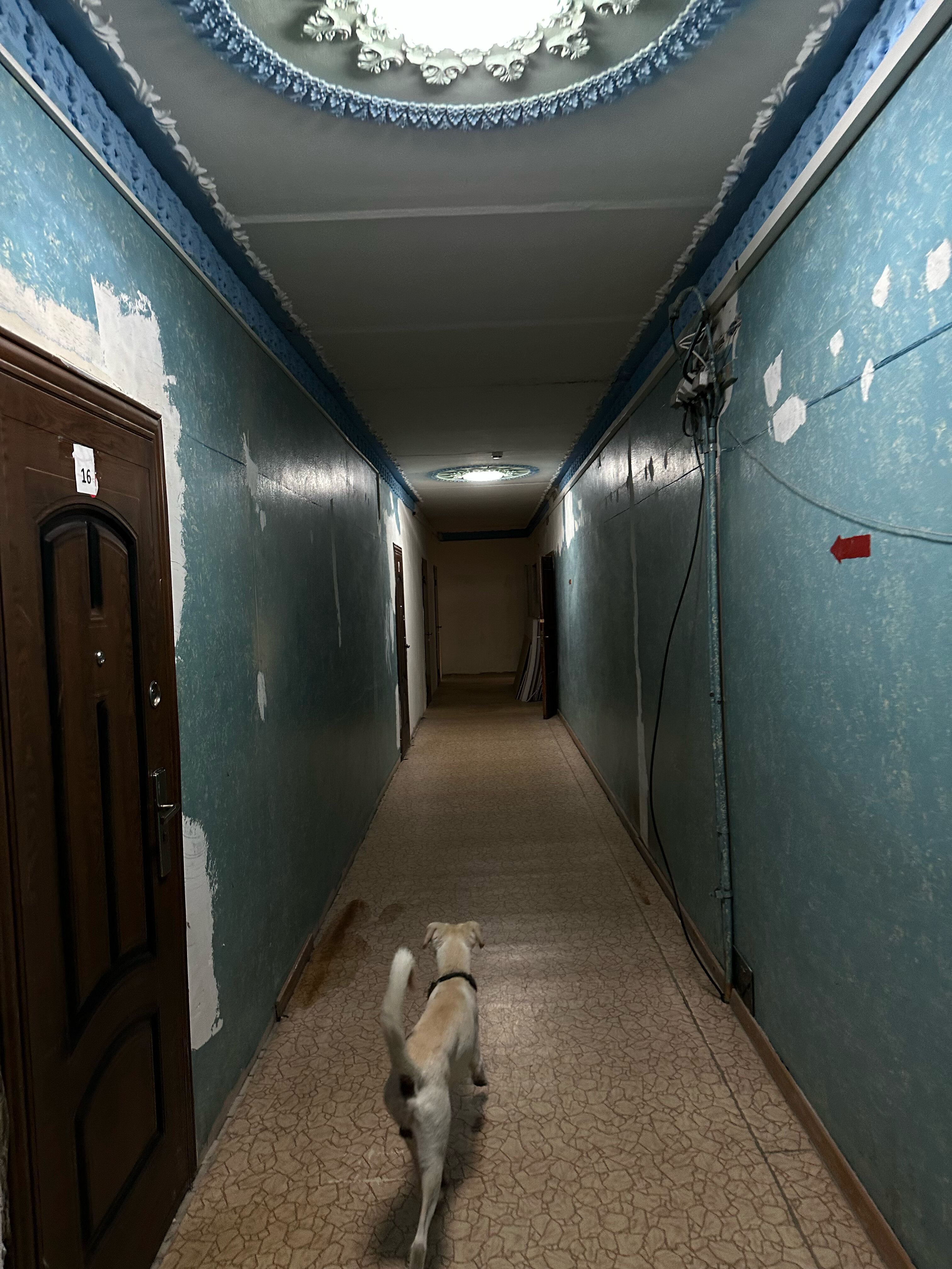 Фото Хаапалампи