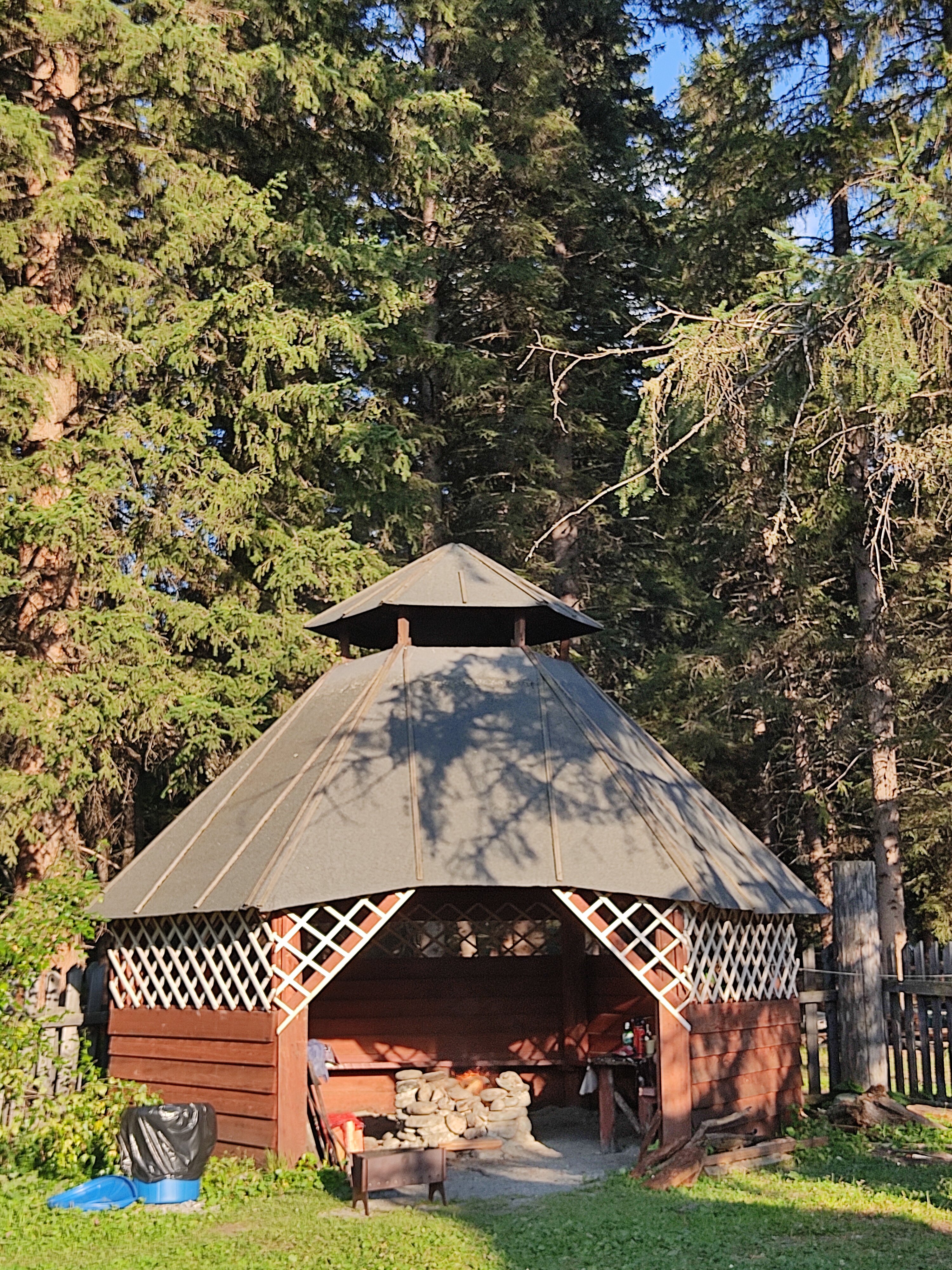 Фото Еловая опушка