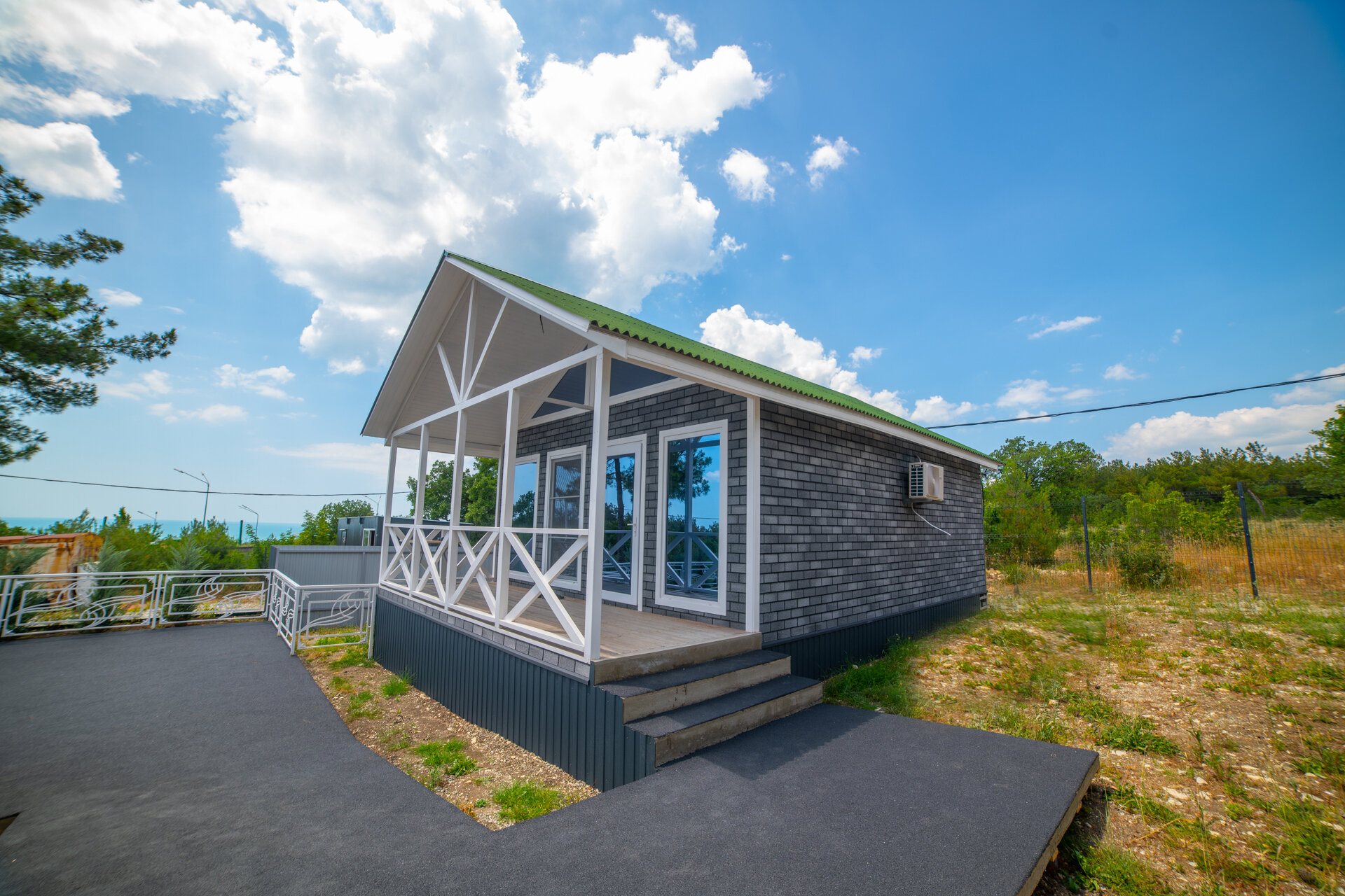 Фото Елки и Иголки