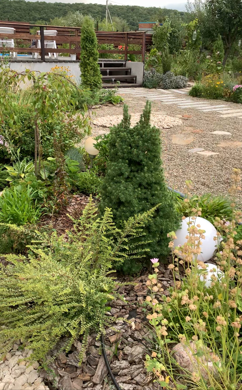 Фото Горный родник