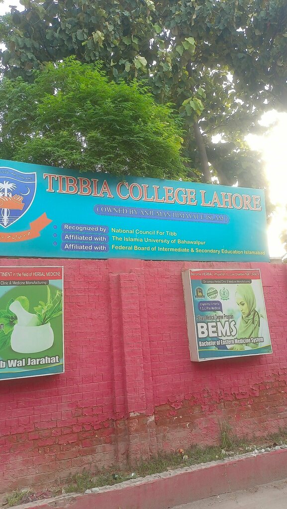 University Tibyah College, Lahore, photo