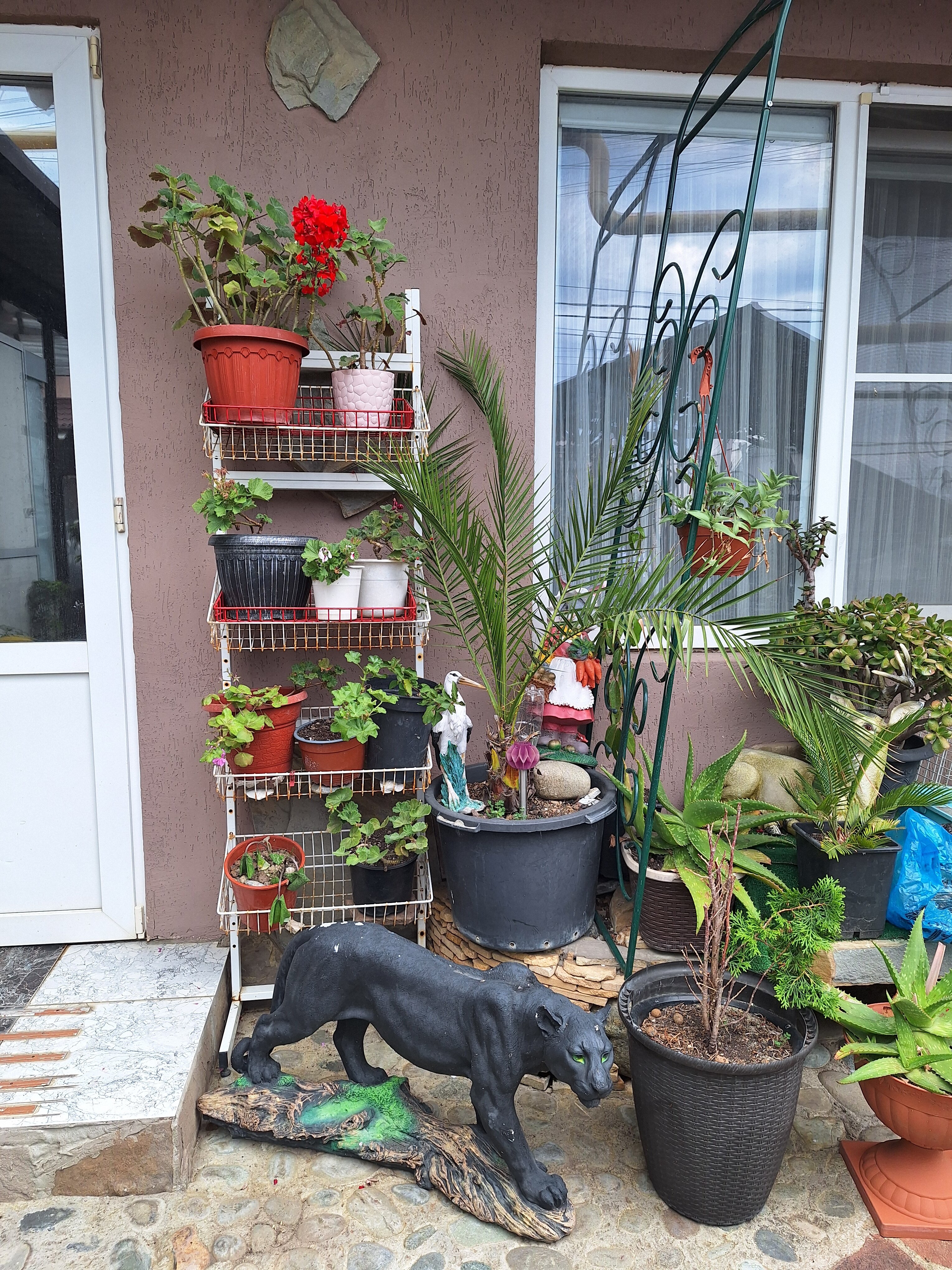 Фото Любовь и голуби