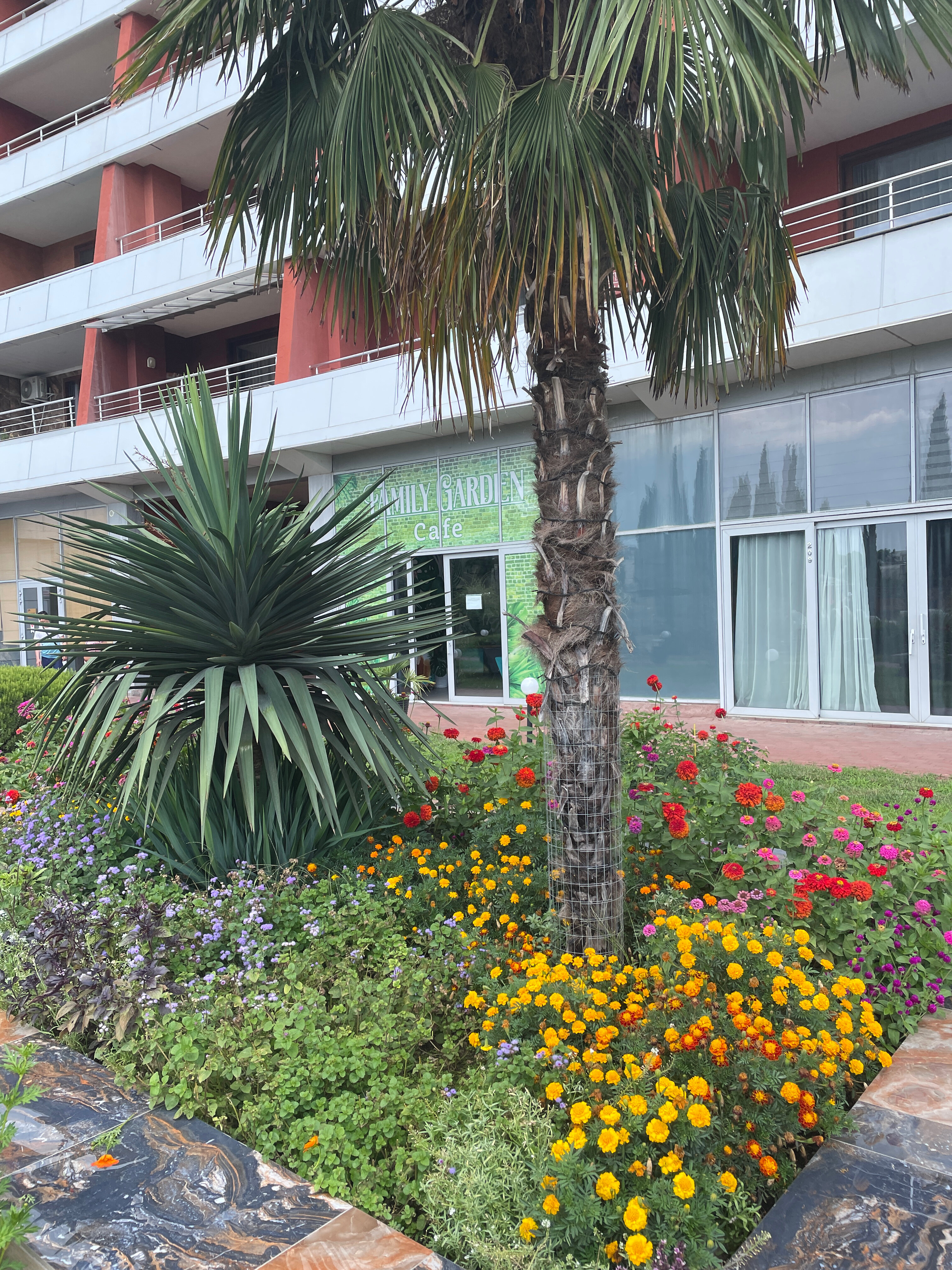 Фото Фамилия