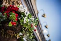 Фото The Duke Rooms London