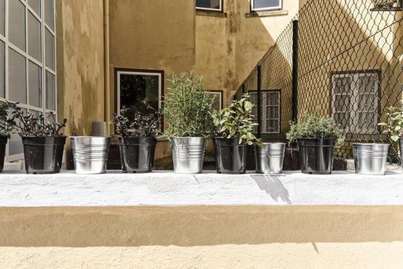 Фото Flattered to be in Tomar