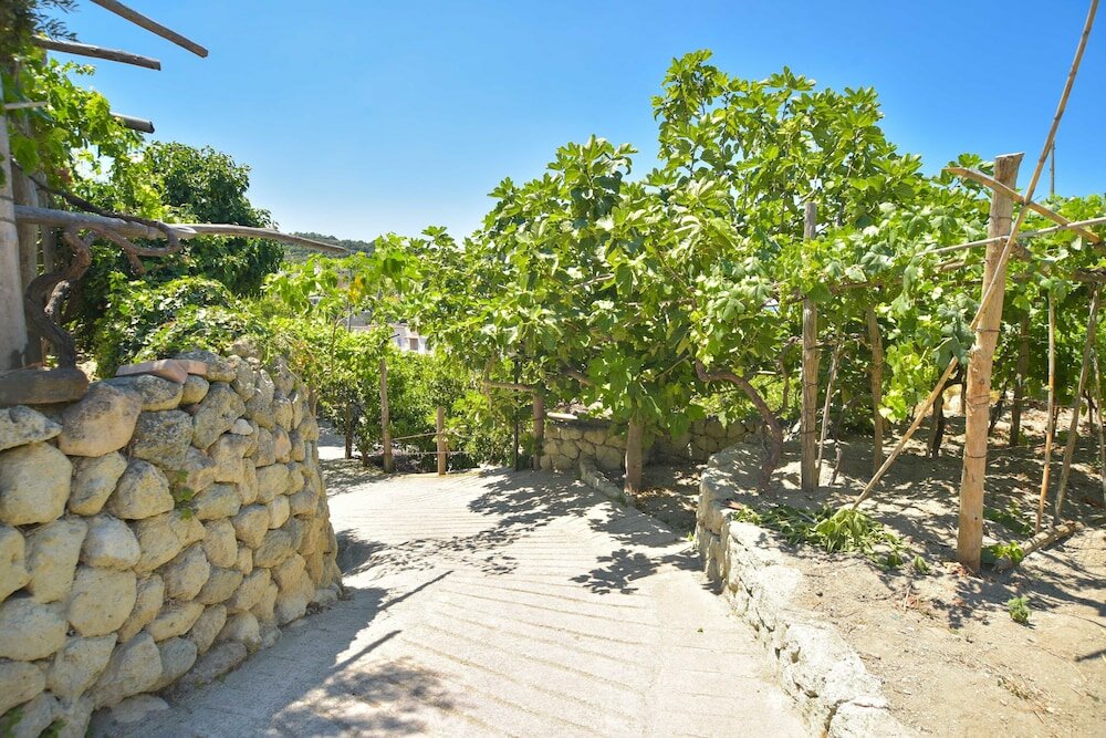 Фото Hotel Villa Cimmentorosso