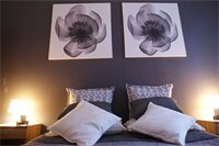 Фото Amira Central Esedra