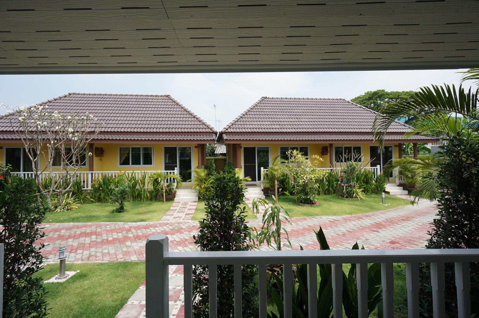 Фото Baan Penny