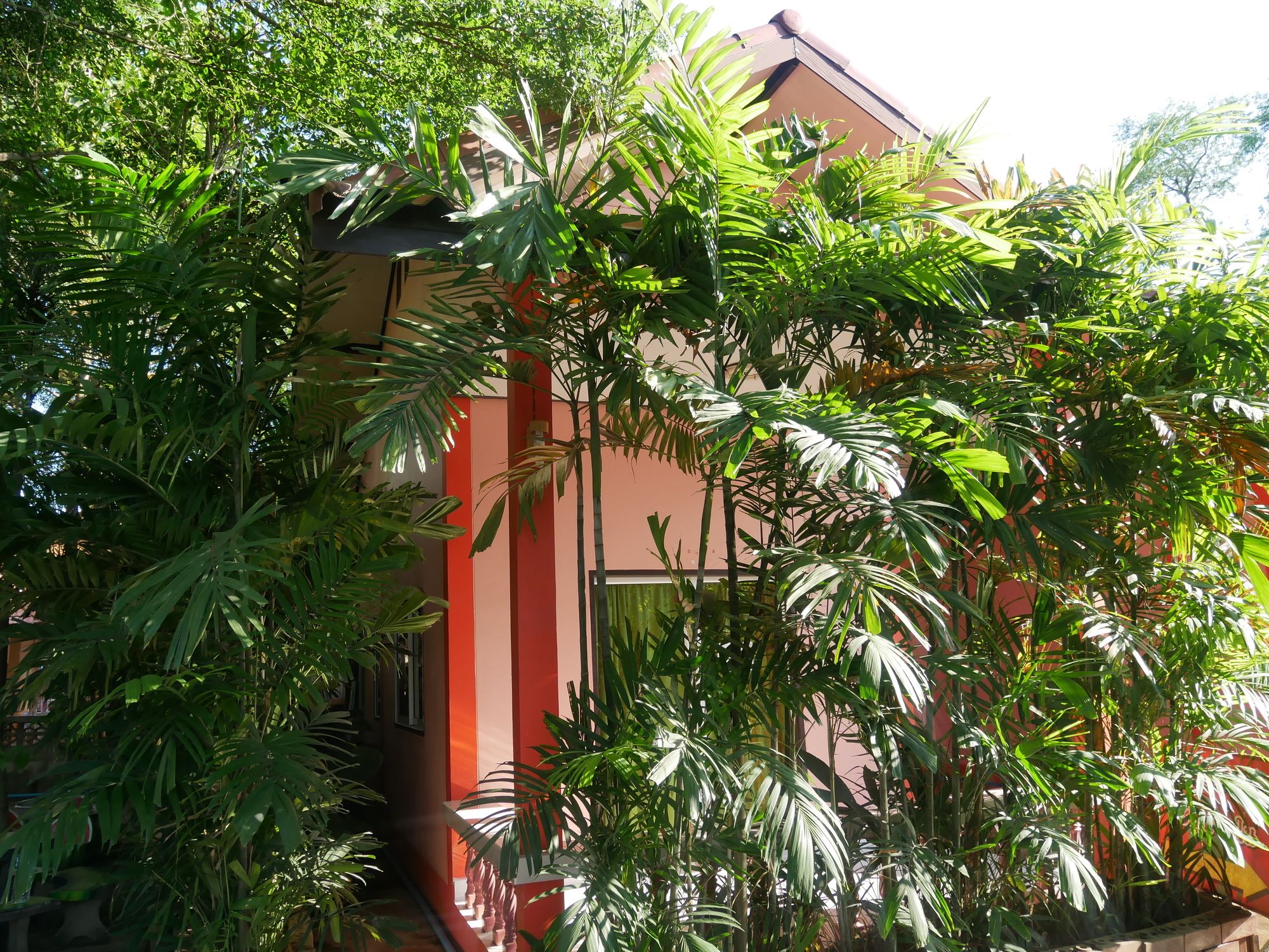 Фото Baan Suan Palm Resort