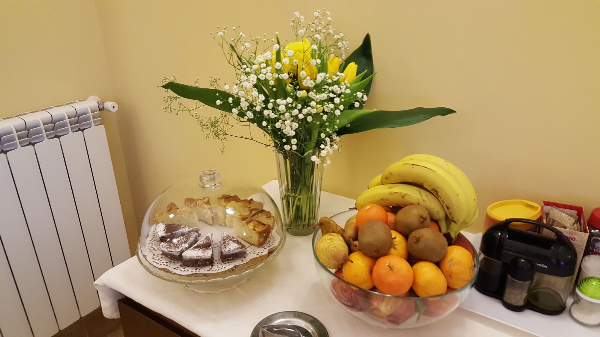 Фото Hotel Fiorentina