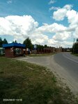 Фамильные Усадьбы (Voronezh Region, Ramonskiy rayon, Aydarovskoye selskoye poseleniye, selo Starozhivotinnoye, Peschany pereulok), public transport stop