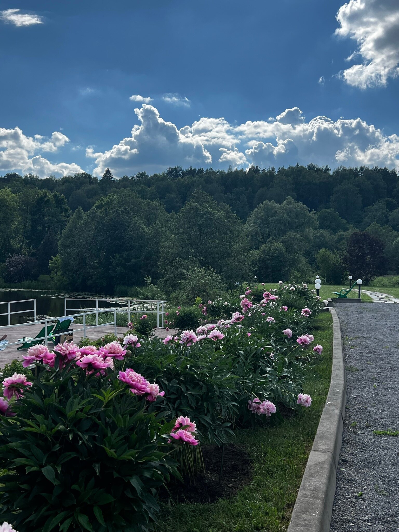 Фото Планерное