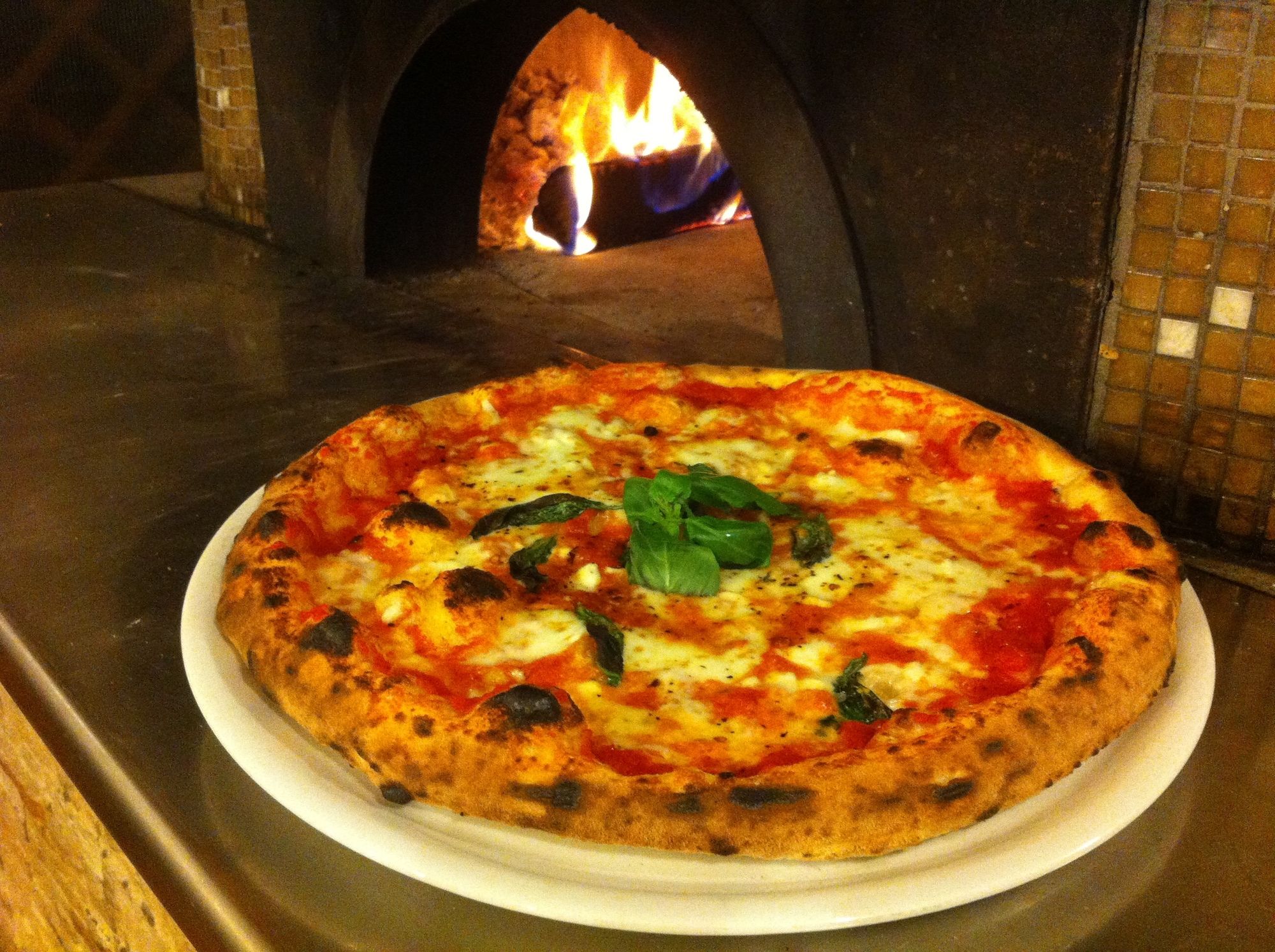 Фото Agave Hotel