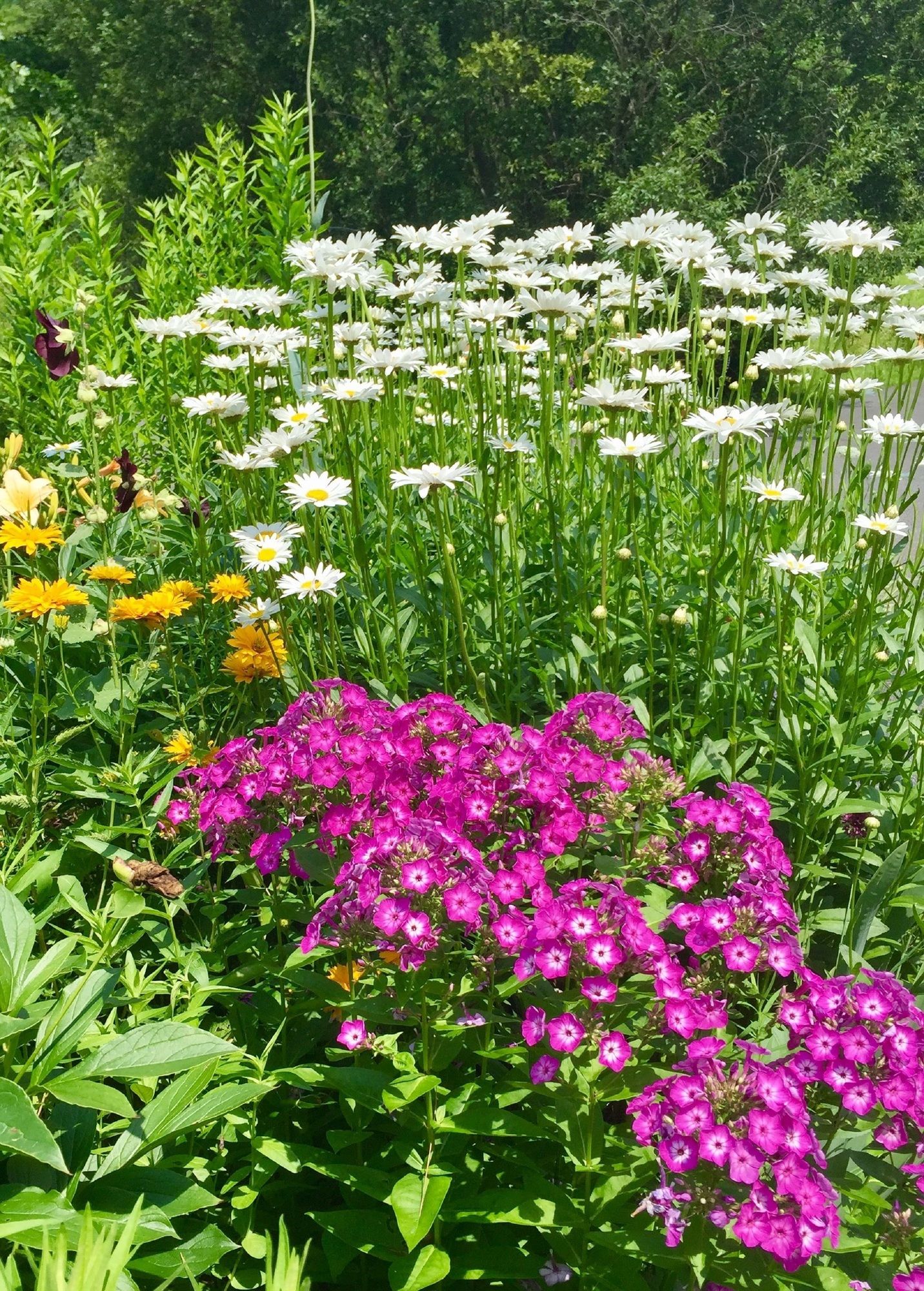 Фото Manor House Inn