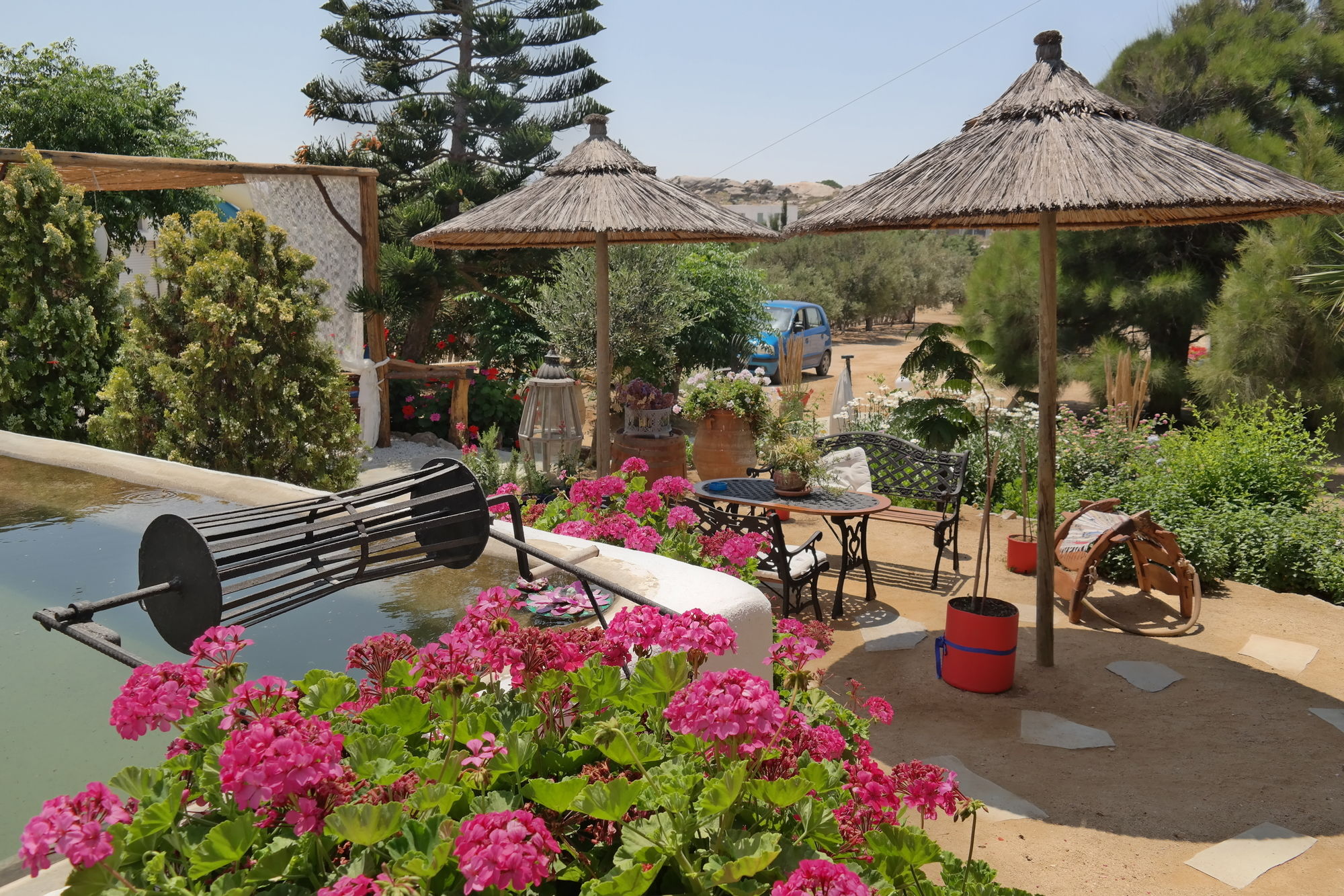 Фото Sun Rock Boutique Suites