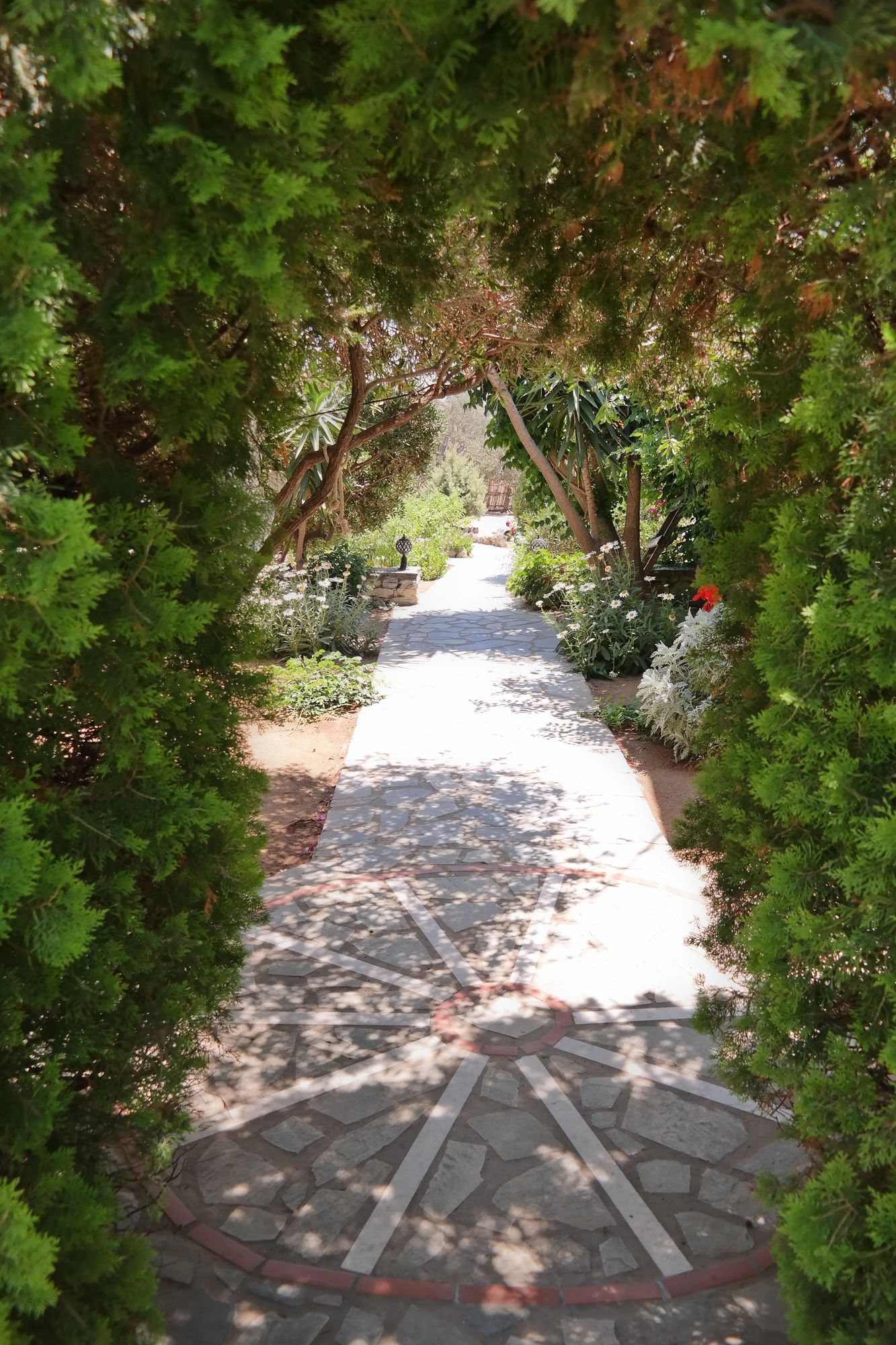 Фото Sun Rock Boutique Suites