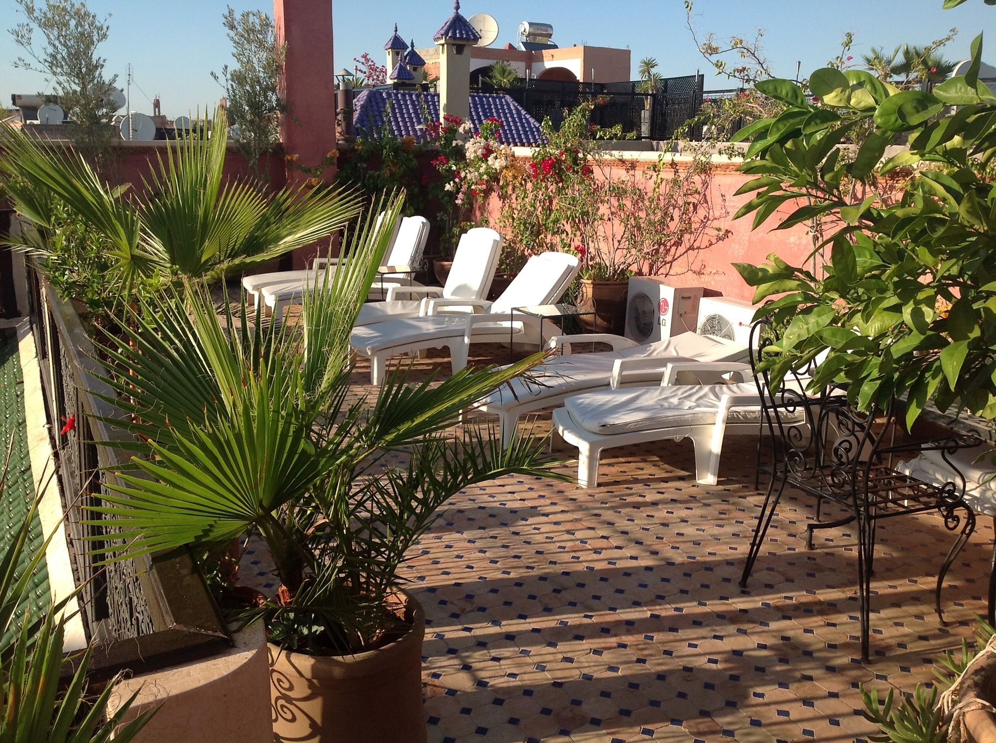 Фото Riad Harmattan