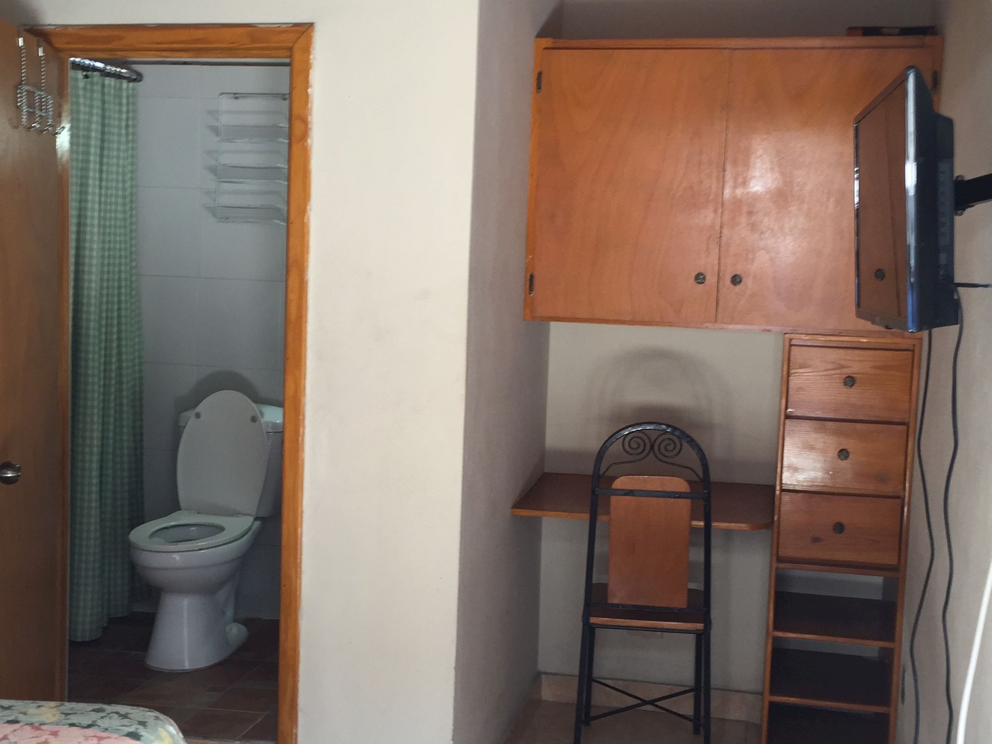 Фото Tropical Bed & Breakfast