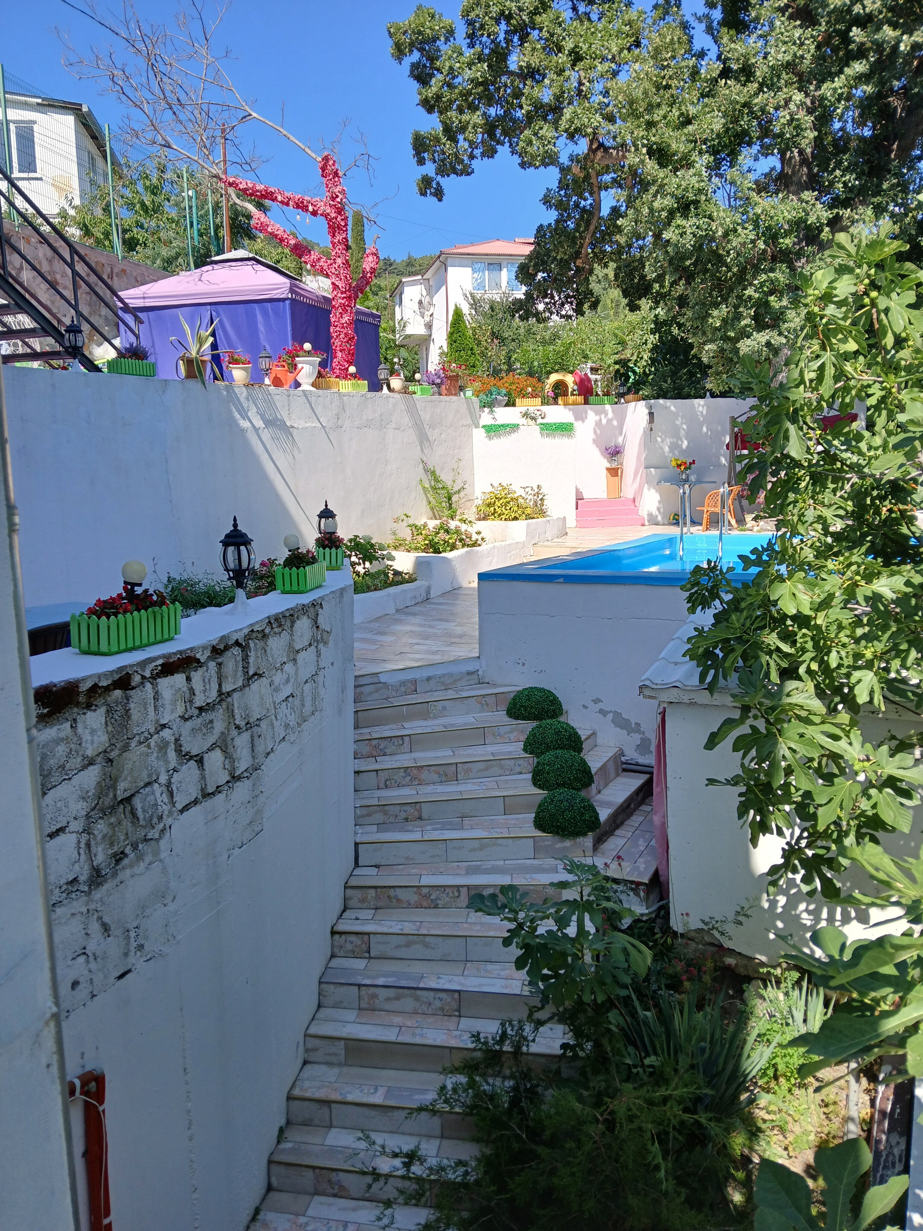 Фото Ливадия