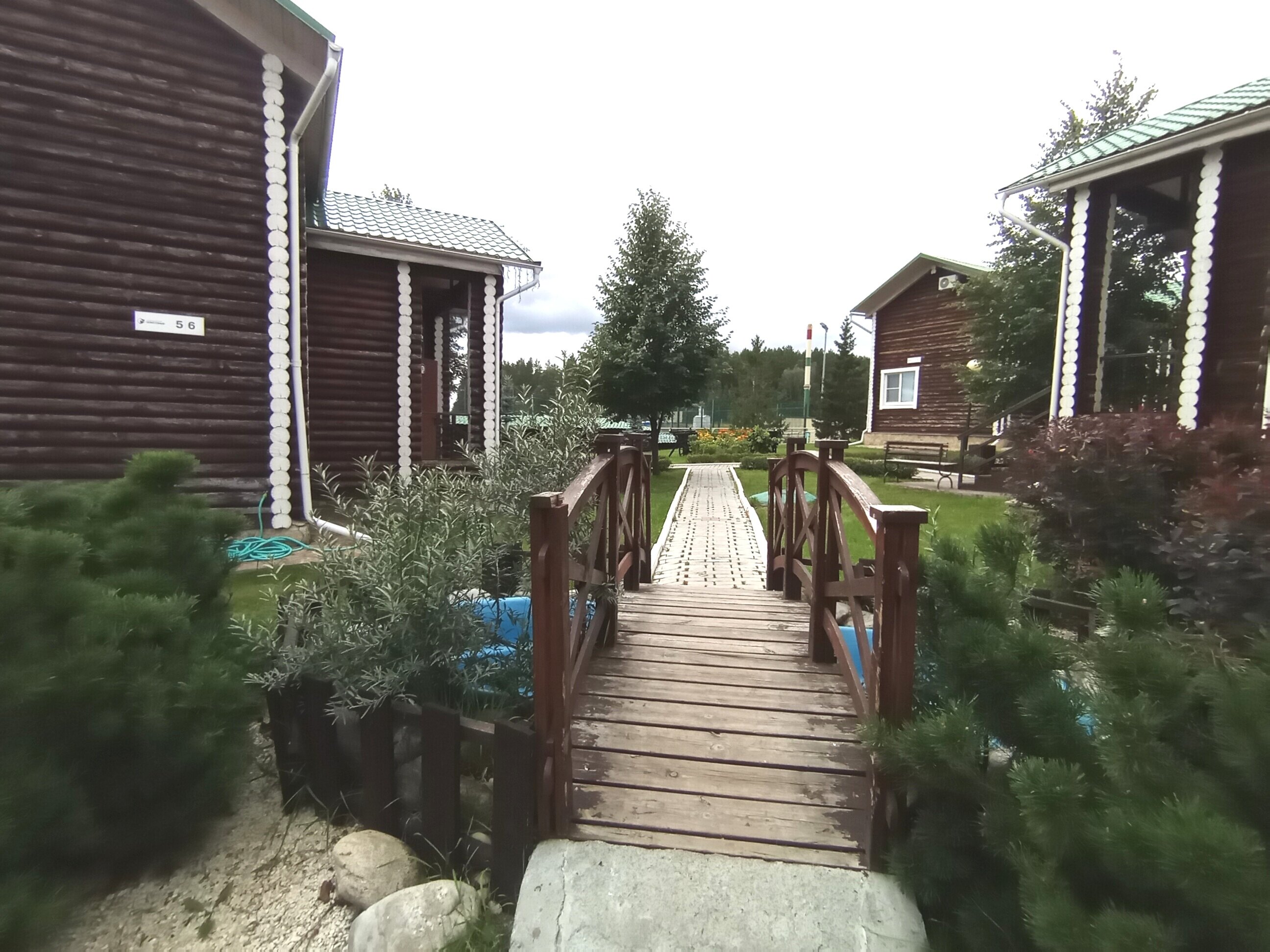 Фото Белая лошадь