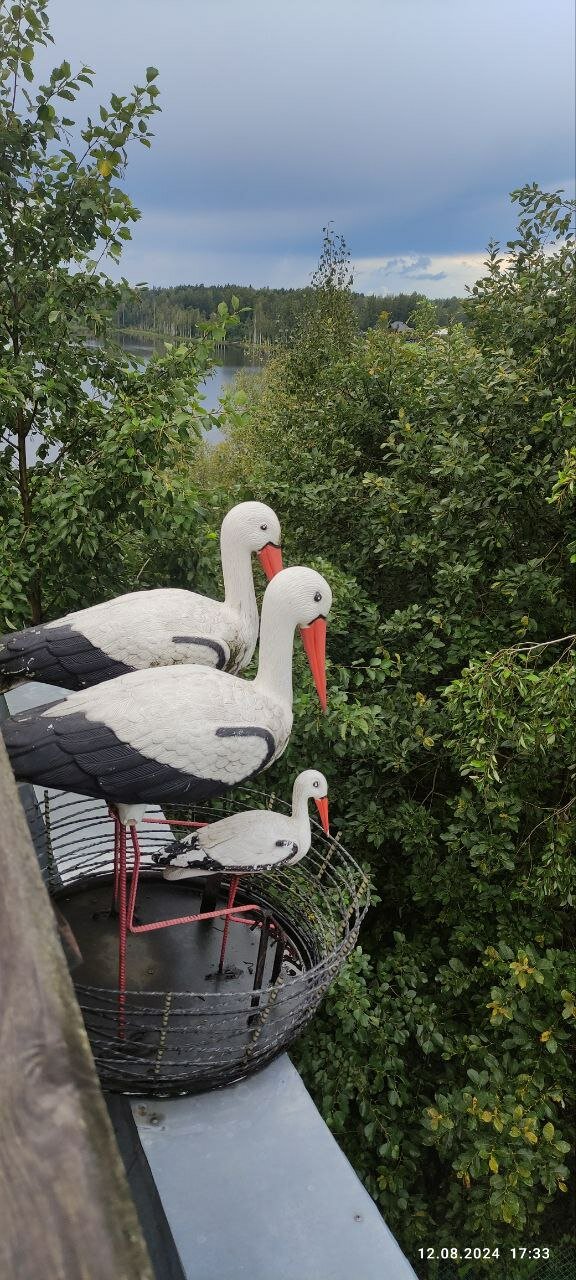 Фото Ласточкино гнездо