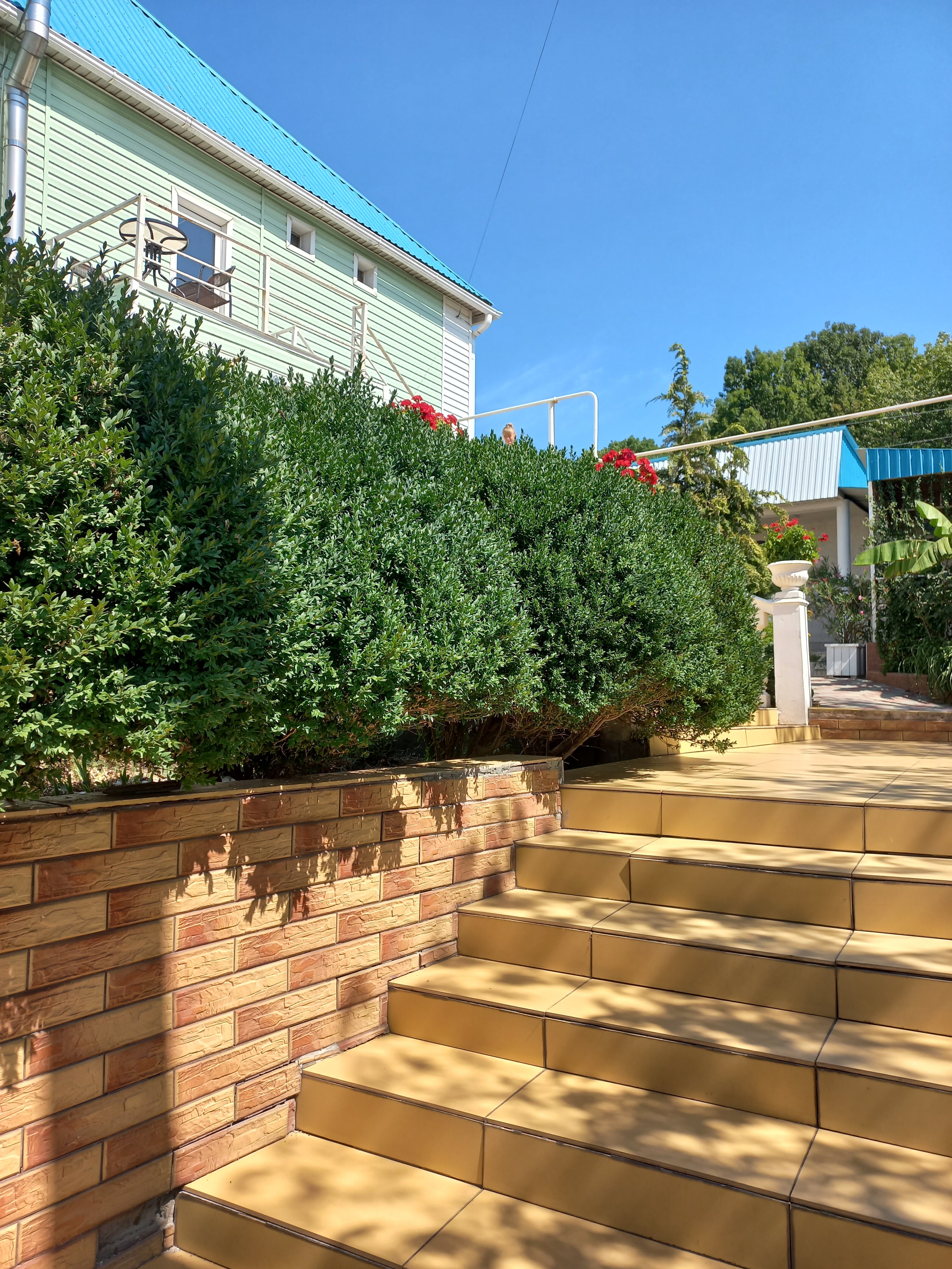 Фото Бирюза