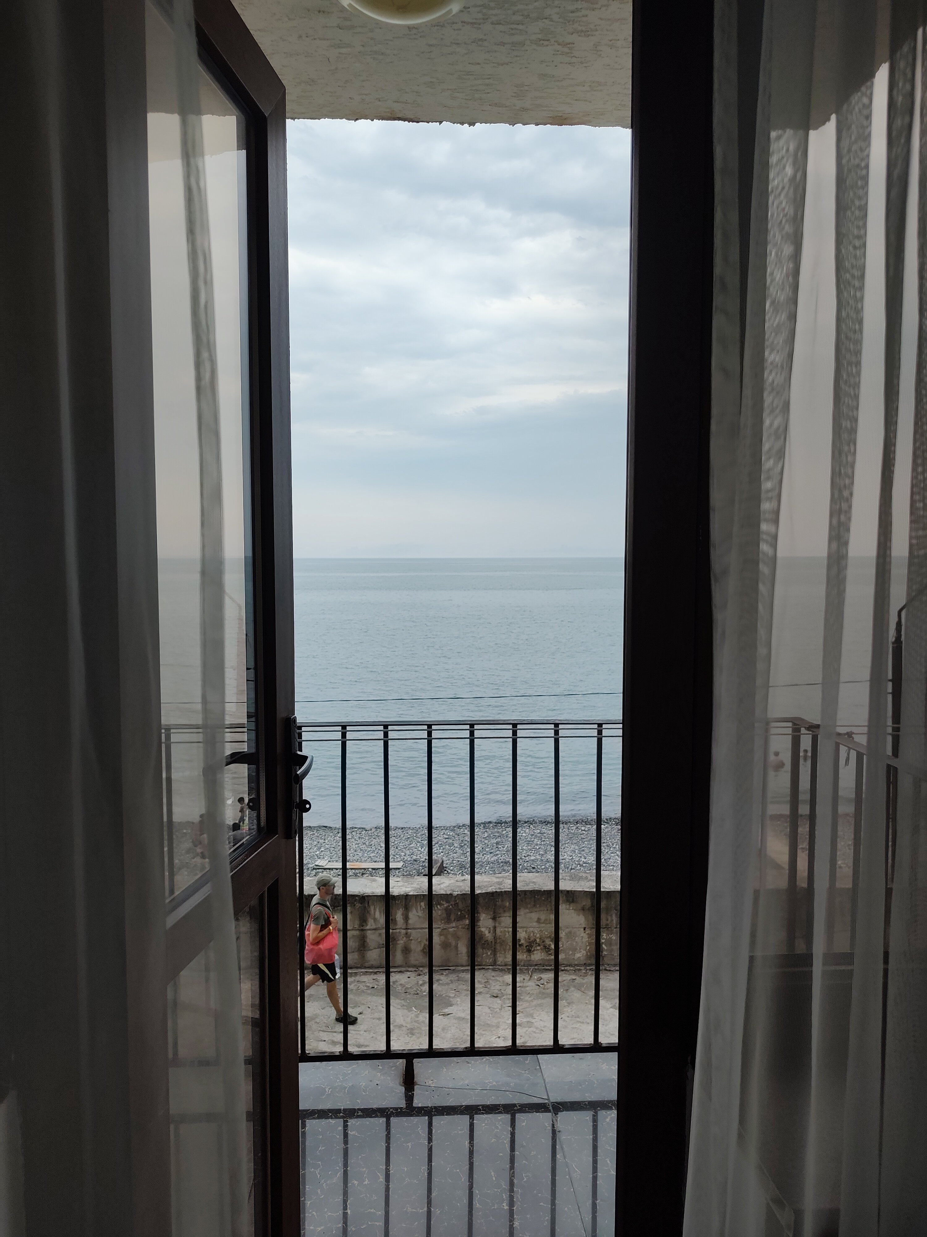 Фото Эвкалиптовая роща