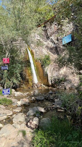 Yolgon jinsiy olatni surati