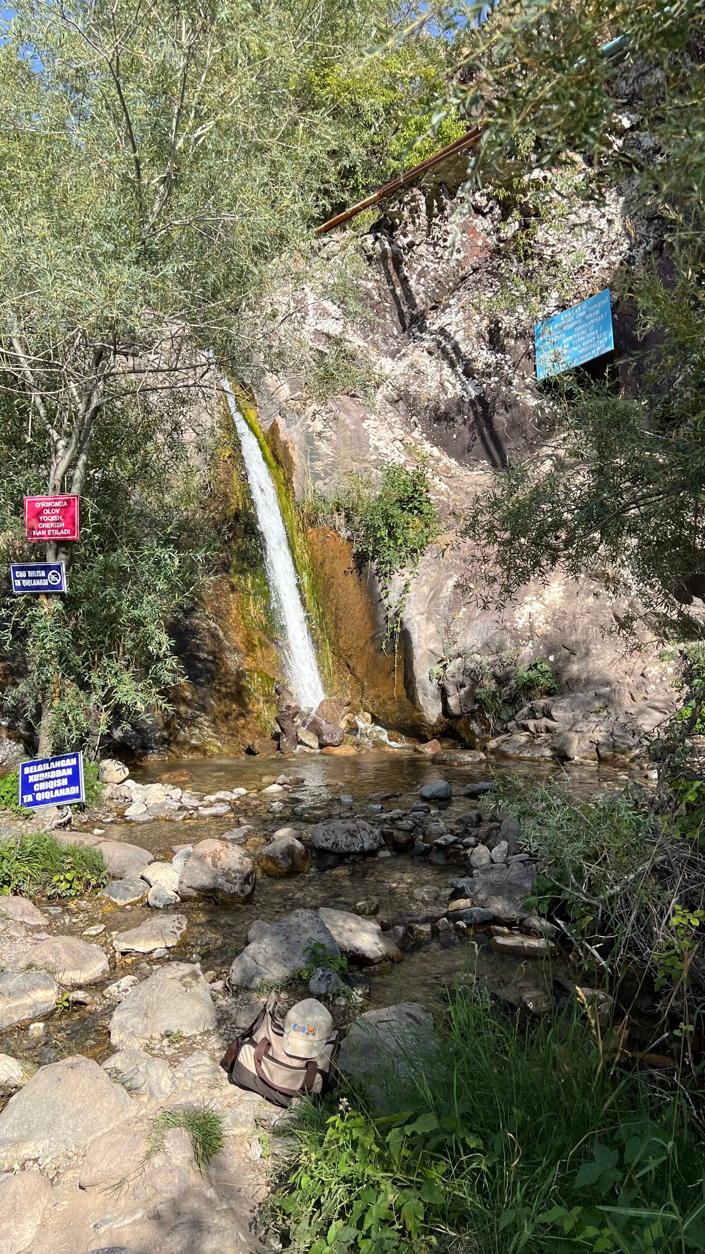 Afrikalik ayollar mushuklari