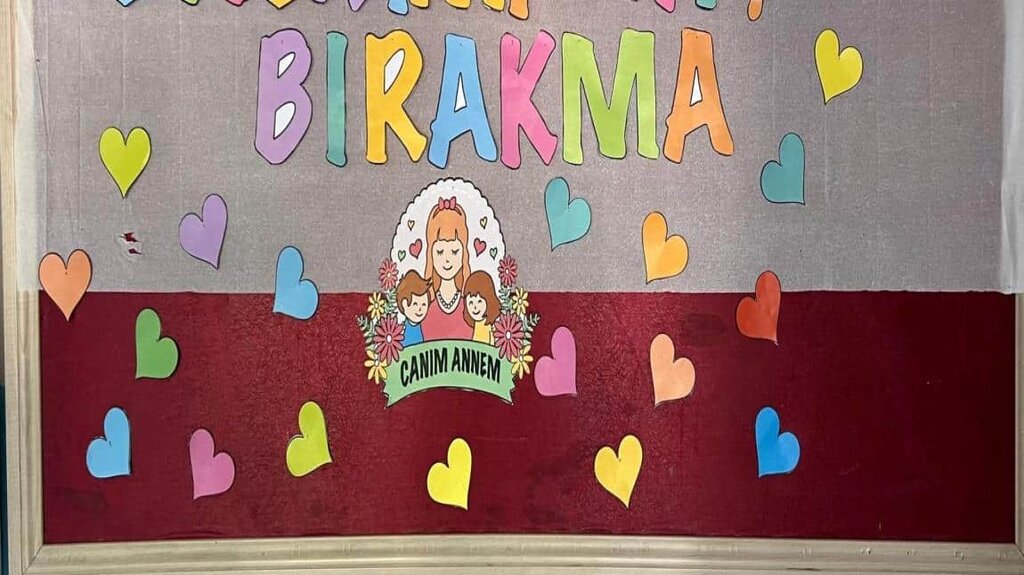 Primary school Mehmet Dogru Primary School, Kiziltepe, photo