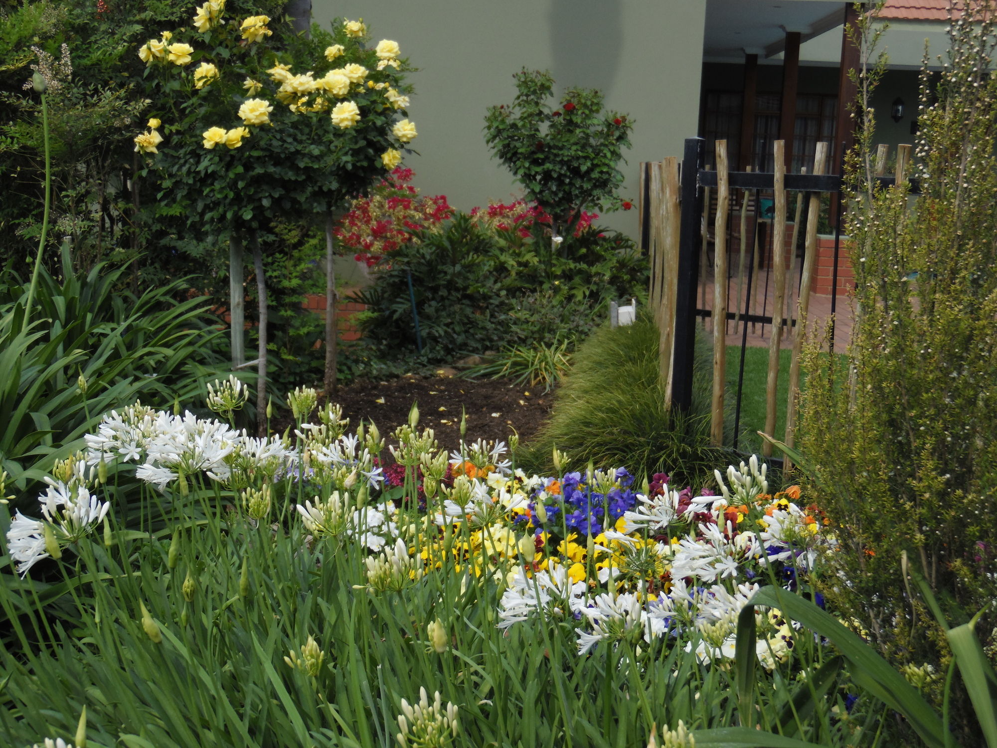 Фото отеля 4