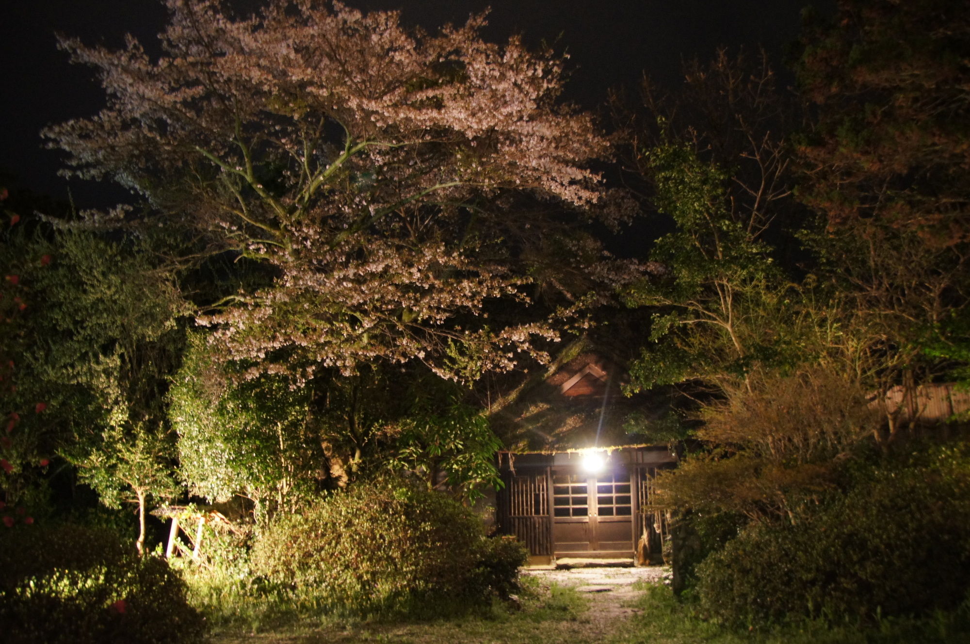 Фото Yufuin Onsen Yufuin Kotobuki Hananosho