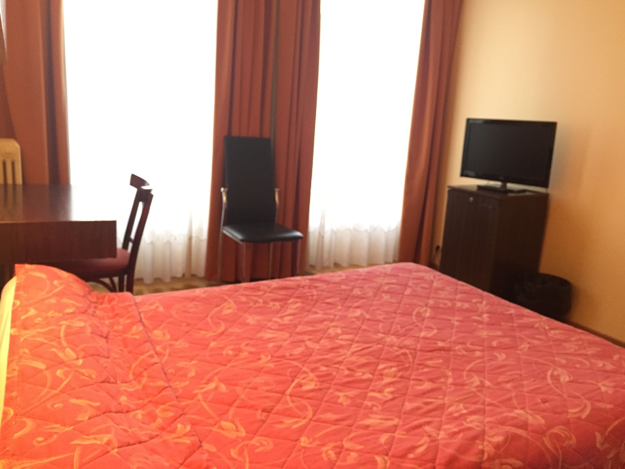 Фото Hôtel des Pyrénées