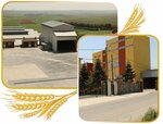 Ertas Flour (Istanbul, Silivri District, Seymen Neighborhood, Meram Street, 9-1), elaboración de productos de alimentación