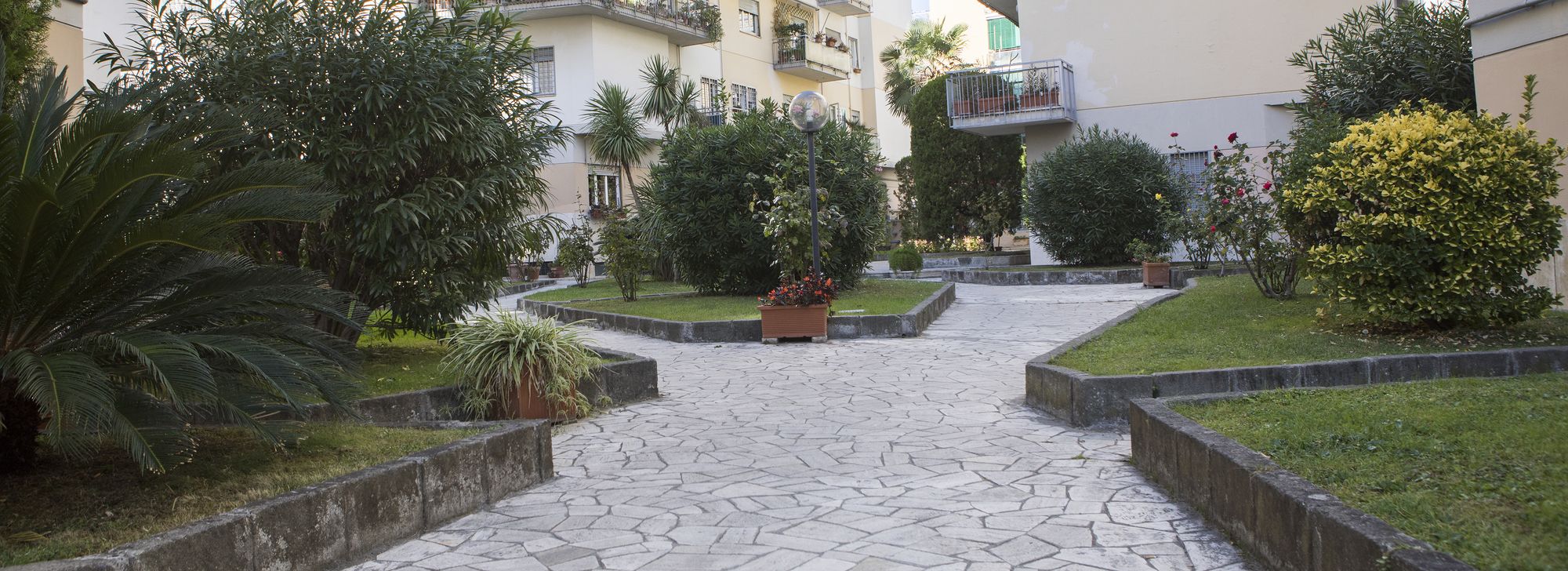 Фото Dreams of Rome