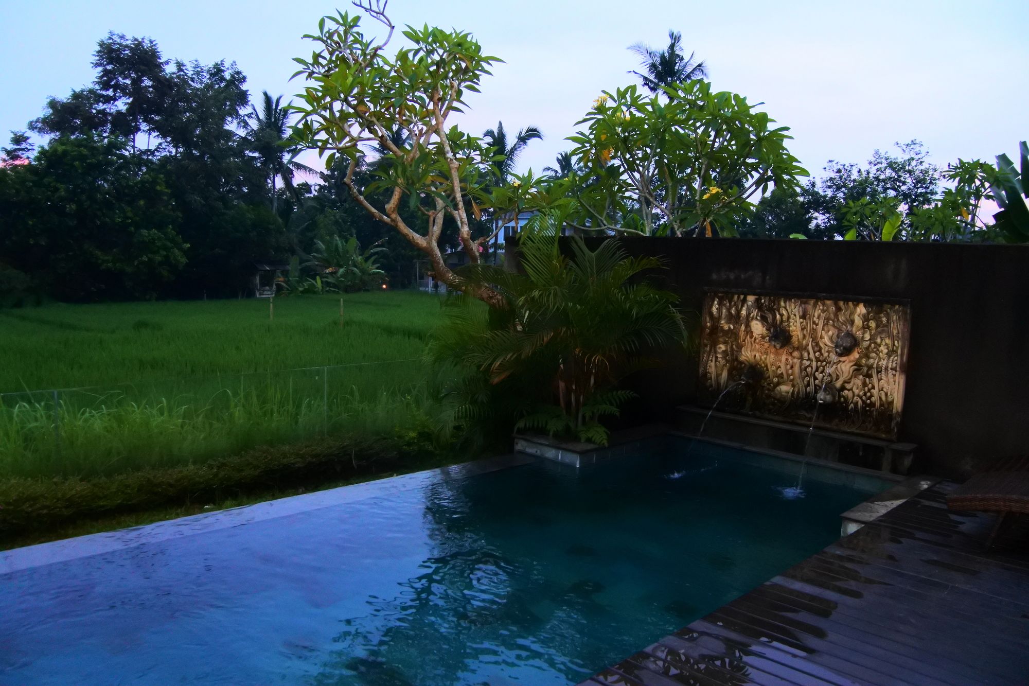 Фото Canikaya Villas Ubud