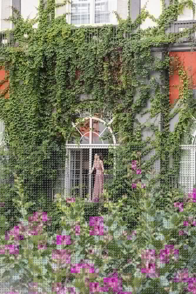 Фото Four Seasons Hotel Mexico City