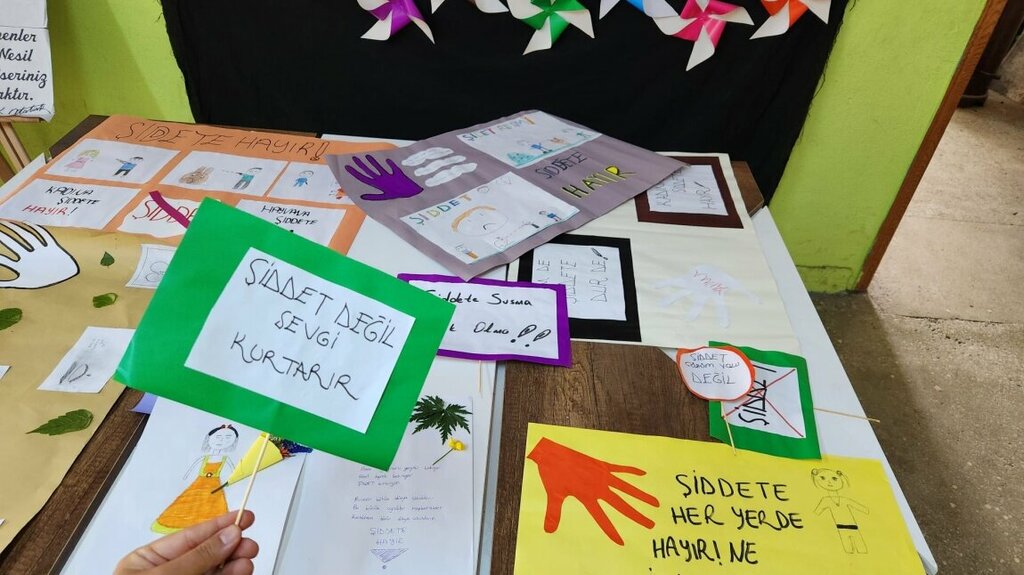 Primary school Ali Ceyrek Primary School, Horasan, photo