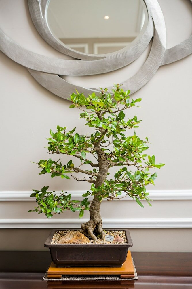 Фото Premier Hotel Cape Town