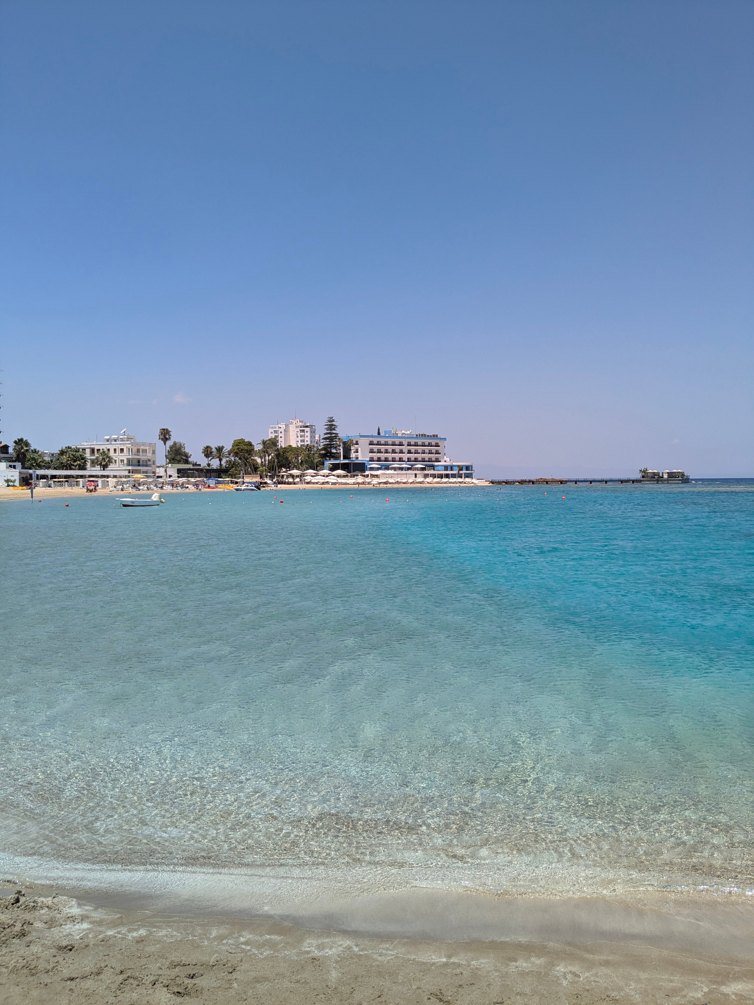 Фото Отель Аркин Палм Бич