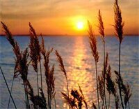 Фото Chateau Inn and Suites