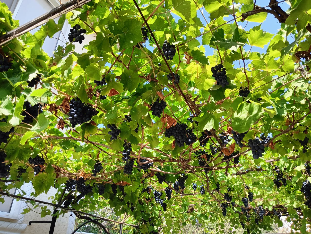 Фото Медовый месяц