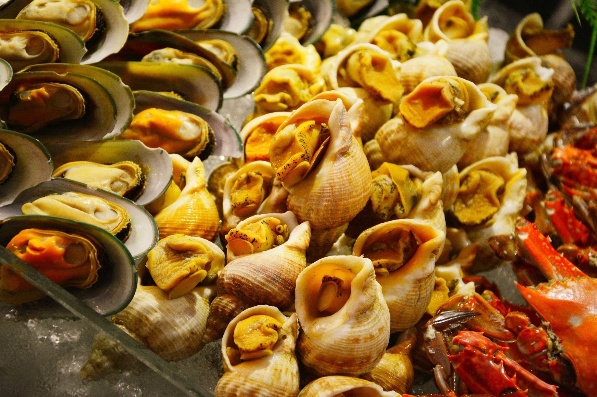 Фото Guangzhou Tongyu International Hotel