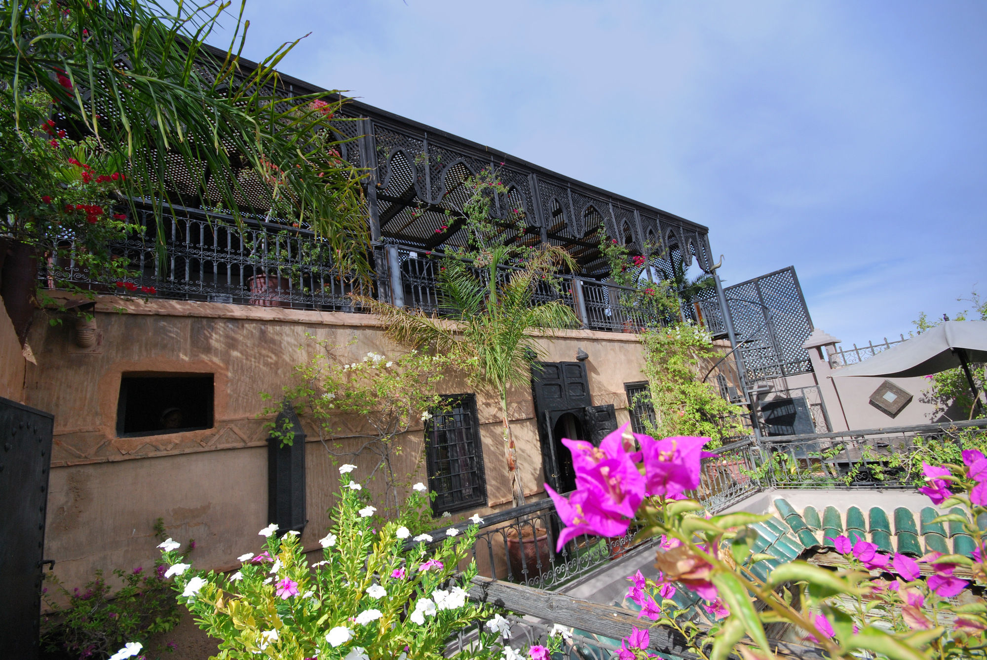 Фото Riad Terra Bahia