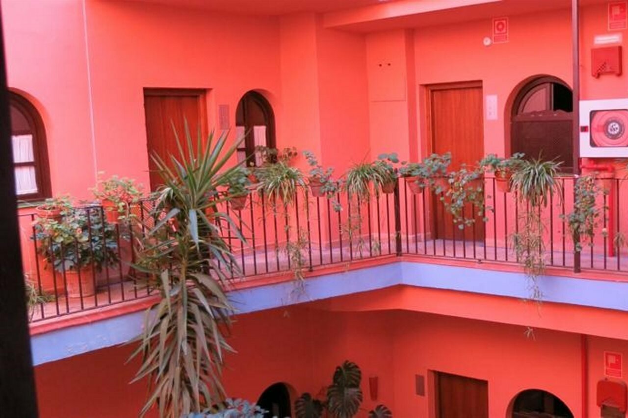 Фото 118666142972